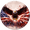 Without Backup Camera Hole, variant on Lotusprint LLC 2D Print America Eagle Spare Tire Cover With Backup Camera Hole, Patriotic USA Flag Decor