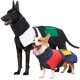 thumbnail image 3 of Abrigo de invierno para perros con bolsillo interior de lana con cuello de tortuga en contr Irfora Extragrande, 3 of 7