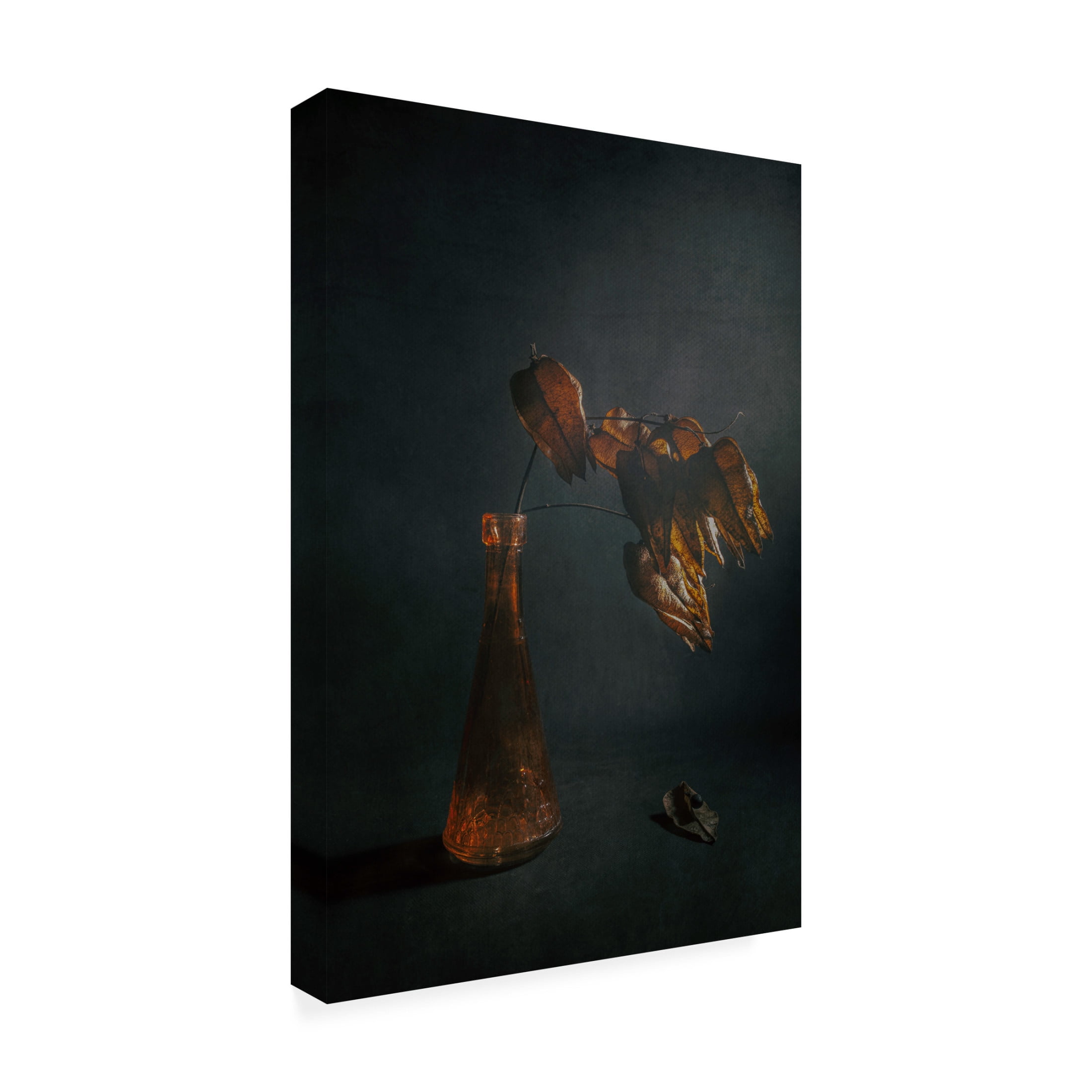 Canvas Wall Art - Cicek Kiral 'Moonstruck' Wall Art for Living Room, Bedroom, or Office Décor by Trademark Fine Art - 30 x 47 Inches