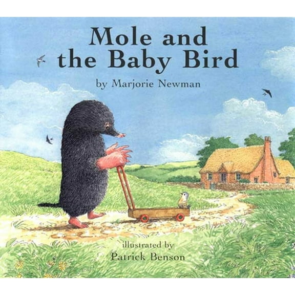 Pre-Owned Mole and the Baby Bird (Hardcover) 1582347840 9781582347844