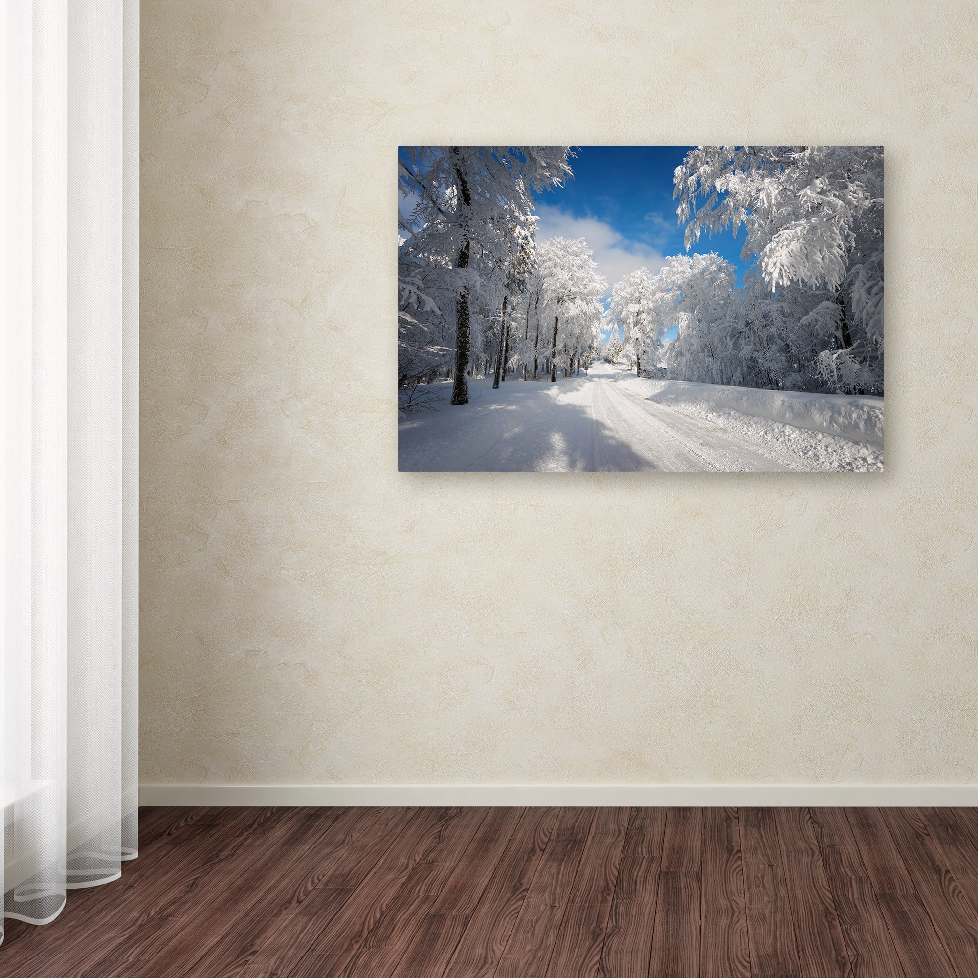 Trademark Fine Art "Going Nowhere" Canvas Art by Philippe Sainte-Laudy