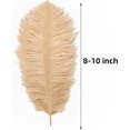 thumbnail image 3 of Large Champagne Ostrich Feathers - 24pcs 8-10inch Boho Feathers for vase and Home Decor Wedding Party Centerpieces, 3 of 14