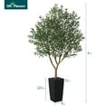 thumbnail image 3 of DR.Planzen UV Resistant 8ft Artificial Olive Tree in Black Large Planter with Pebbles– Faux Olive Tree for Indoor and Outdoor Decor, Lifelike Greenery for Home & Garden Decor, 3 of 9
