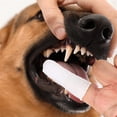 thumbnail image 3 of Cepillos de dientes para dedos para limpieza de dientes de perros y gatos, lavables, cómodos y duraderos, 1 juego para dos dedos, incluye 2 juegos de color blanco, 3 of 5