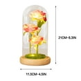 thumbnail image 3 of JilgTeok Travel Essentials Valentine'S Day Gift Led Night Light 3 Rose Glass Lampshade Ornaments, 3 of 6