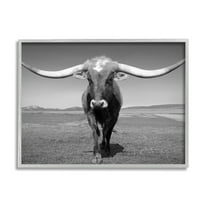 Stupell Industries Longhorn in Countryside Landscape Photography Gray Framed Art Print Wall Art, 30 x 24