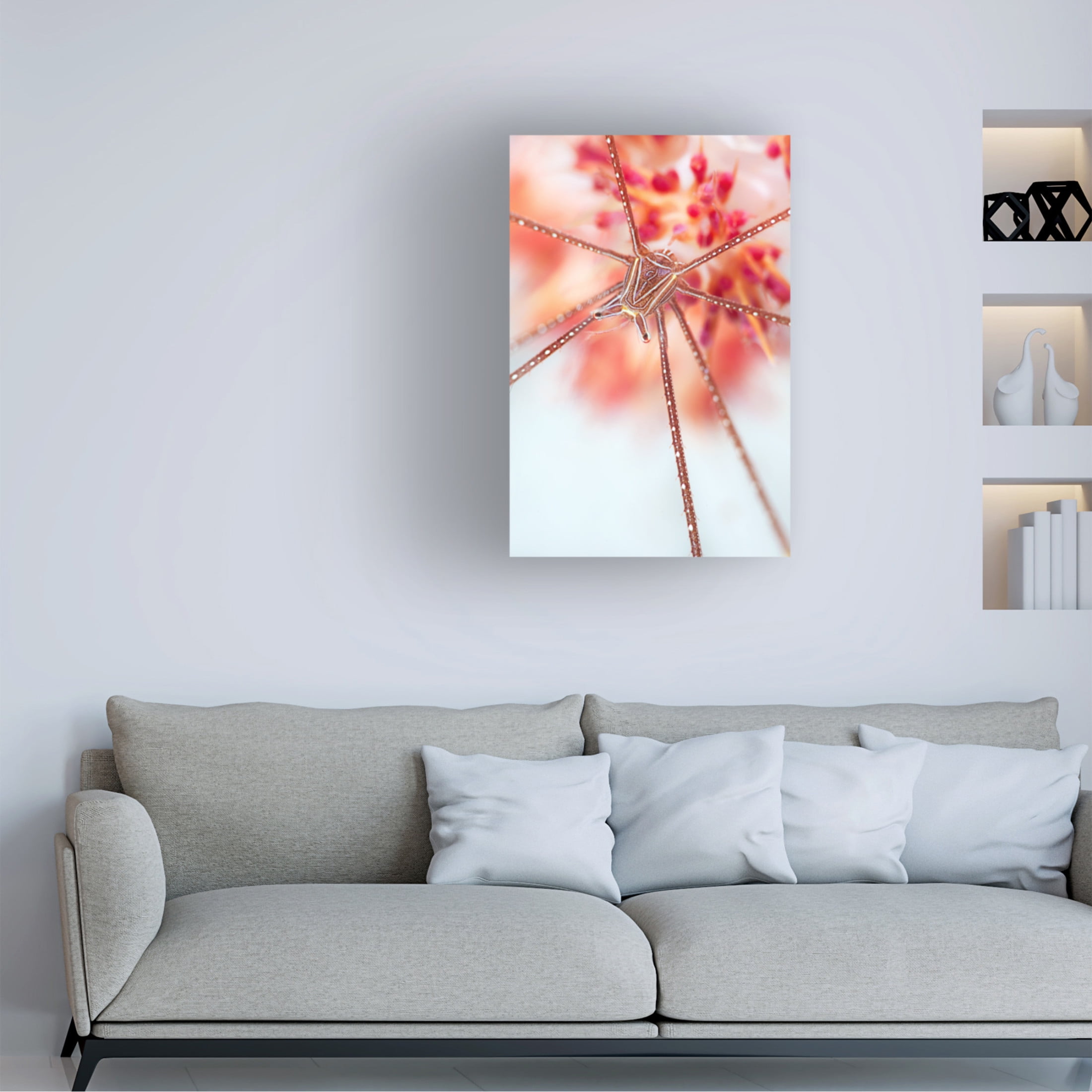 Canvas Wall Art - Andrey Narchuk 'Snow Flower' Wall Art for Living Room, Bedroom, or Office D?cor by Trademark Fine Art - 16 x 24 Inches