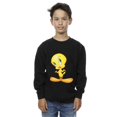 thumbnail image 2 of Looney Tunes Boys Tweety Standing Sweatshirt, 2 of 3