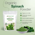thumbnail image 3 of Z Natural Foods Organic Spinach Powder - 100% Pure & Nutrient-Dense Dried Raw Spinach Leaves for Immune & Energy Boost - Fresh Powdered Vegetable, Supports Eye & Heart Health, Vegan, 1 lb, 3 of 8