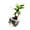 K, variant on Ruanlalo Aquaponic Betta Fish Tank Transparent Plastic Shatterproof Planter Ecosystem Aquarium Desktop Aquaponic System for Betta Fish Houseplants