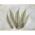 thumbnail image 2 of Koetsier, Albert 32x25 Gold Ornate Wood Framed with Double Matting Museum Art Print Titled - Fern, 2 of 4