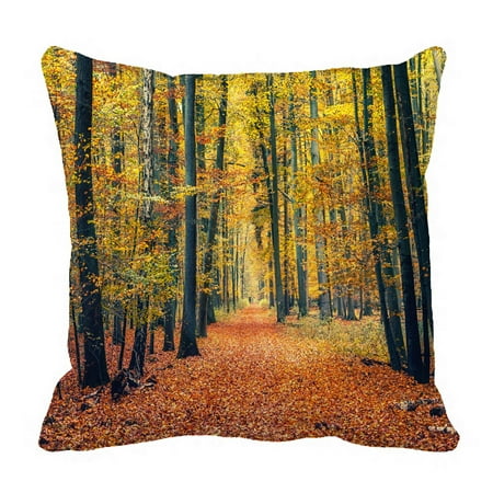Landscaping In The Fall PHFZK Fall Trees Pillow Case, Landscape of Autumn Forest Pathway in the Fallen Leaves Pillowcase Throw Pillow Cushion Cover Two Sides Size 18x18 inches ()