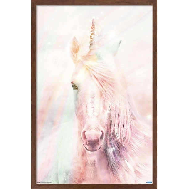 Pink Unicorn Wall Poster, 22.375" x 34", Framed - Walmart.com