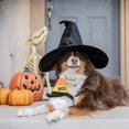 thumbnail image 4 of Huxley & Kent Divertido juguete para perro de Halloween con chirriador, juguetes de peluche para perros pequeños, medianos y grandes, animal de peluche suave para jugar y buscar en interiores, gnomo d, 4 of 5