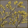 thumbnail image 3 of Goldberger, Jennifer 15x15 Black Modern Framed Museum Art Print Titled - Forsythia I, 3 of 5