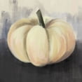 thumbnail image 2 of House Fenway 12x12 White Modern Wood Framed Museum Art Print Titled - White Rustic Pumpkin, 2 of 4
