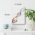 thumbnail image 2 of Watercolor DNA Science Art Canvas Painting Abstract DNA Single Helix Prints Art for Home Living Room Wall Decor Framed Genetics Artwork Gifts(12x15 Inch), 2 of 5
