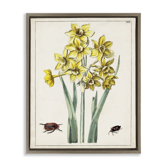 Stupell Industries French Country Beetles with Daffodils Brown Floating Frame Canvas Art, 17 x 21, by World Art Group
