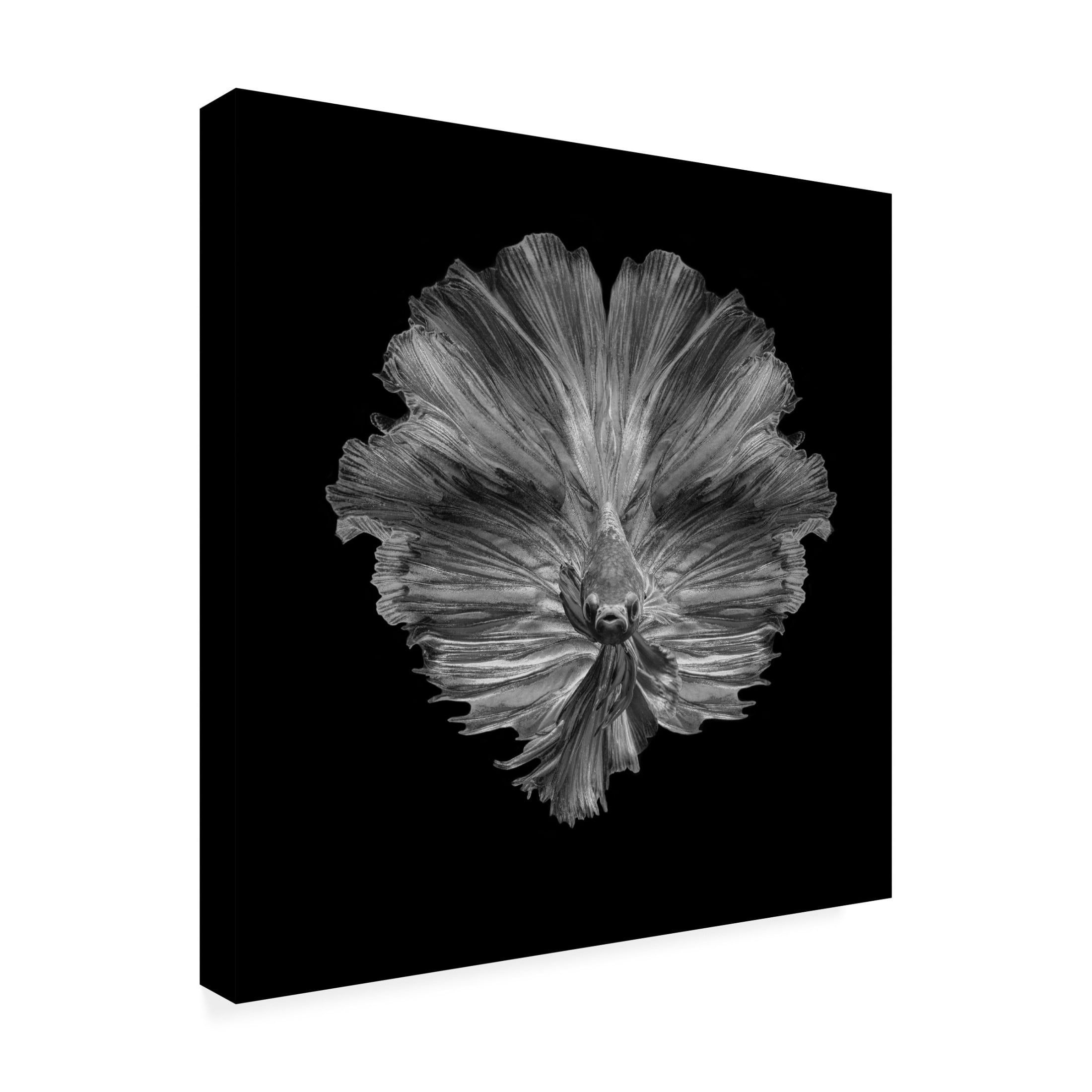 Canvas Wall Art - Andi Halil 'The Flower Of Tail' Wall Art for Living Room, Bedroom, or Office D?cor by Trademark Fine Art - 24 x 24 Inches
