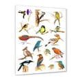 thumbnail image 2 of Designart 'Vital Colored Birds Plancard' Traditional Framed Art Print, 2 of 4