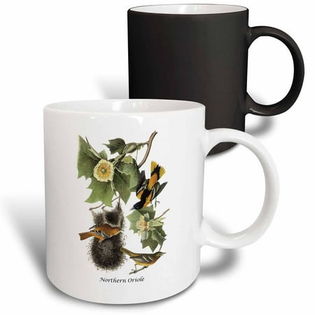 

3dRose Northern Oriole by John James Audubon Magic Transforming Mug 11oz