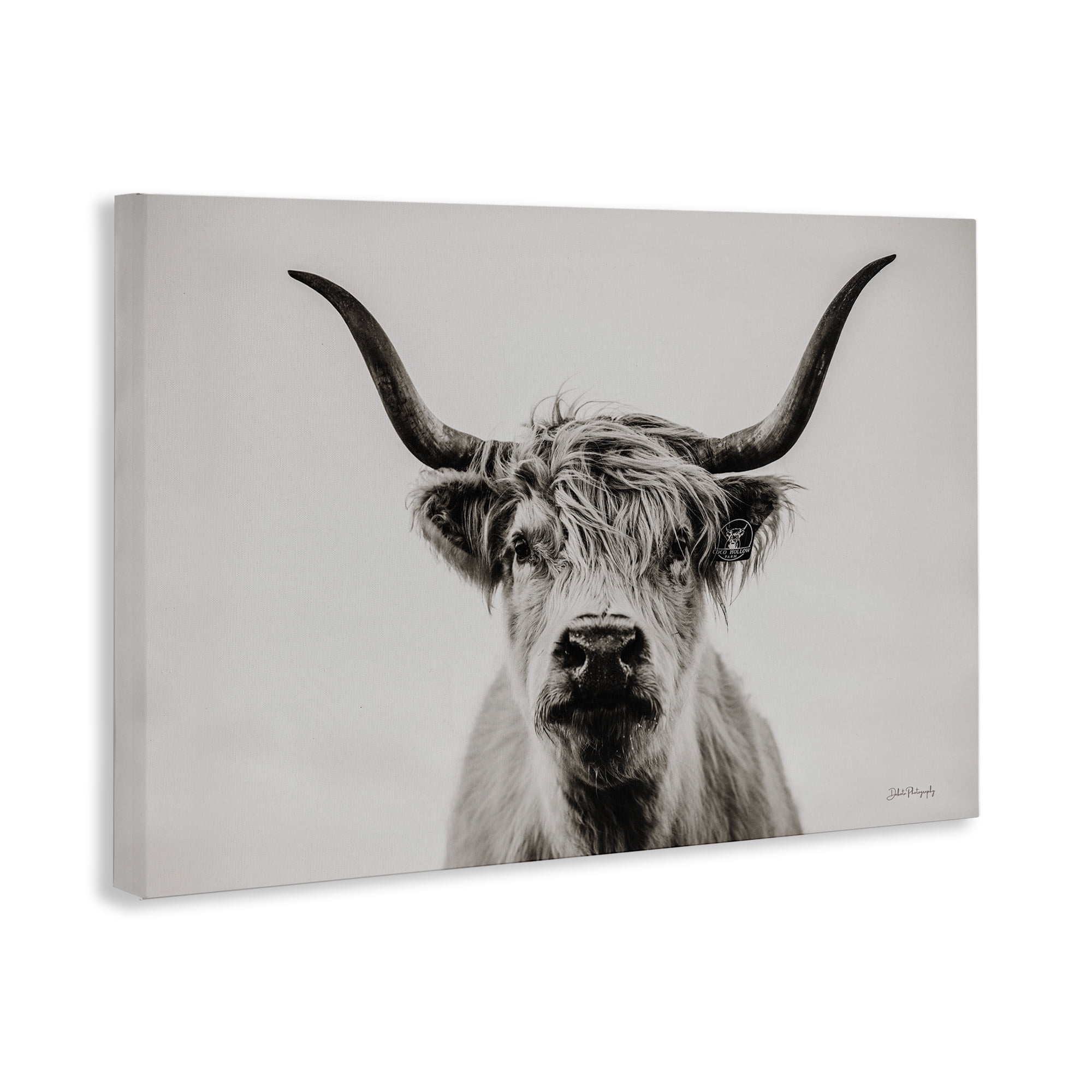 Stupell Industries Calm Cattle Portrait Animals & Insects Photography Gallery Wrapped Canvas Art Print Wall Art, 30 x 20