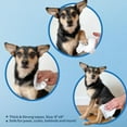 thumbnail image 4 of Best Pet Supplies Cat and Dog Cleaning Wipes in Resealable Pouch, Cleansing Tea Tree, 400-Pack, 4 of 6