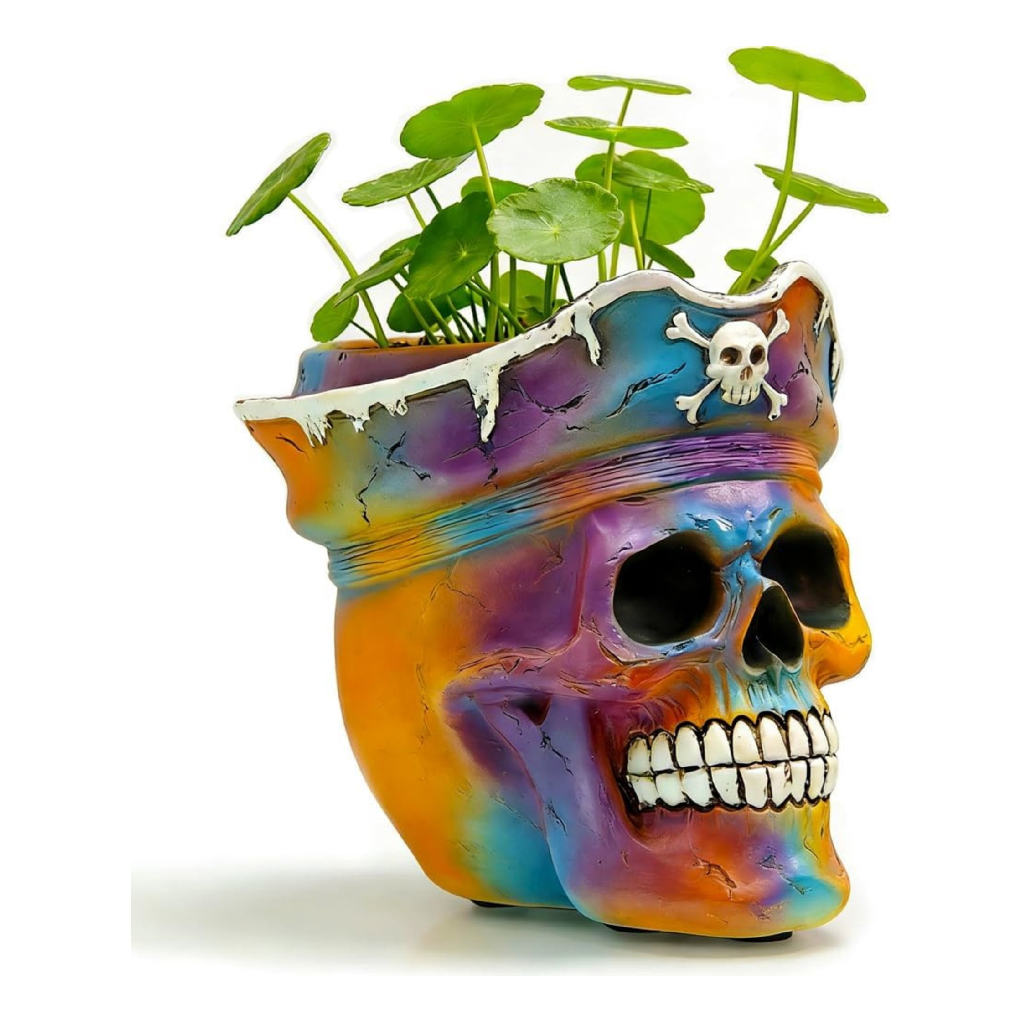Pirate Skull Planter Flowerpot with Drainage Hole for Gothic Home Decor