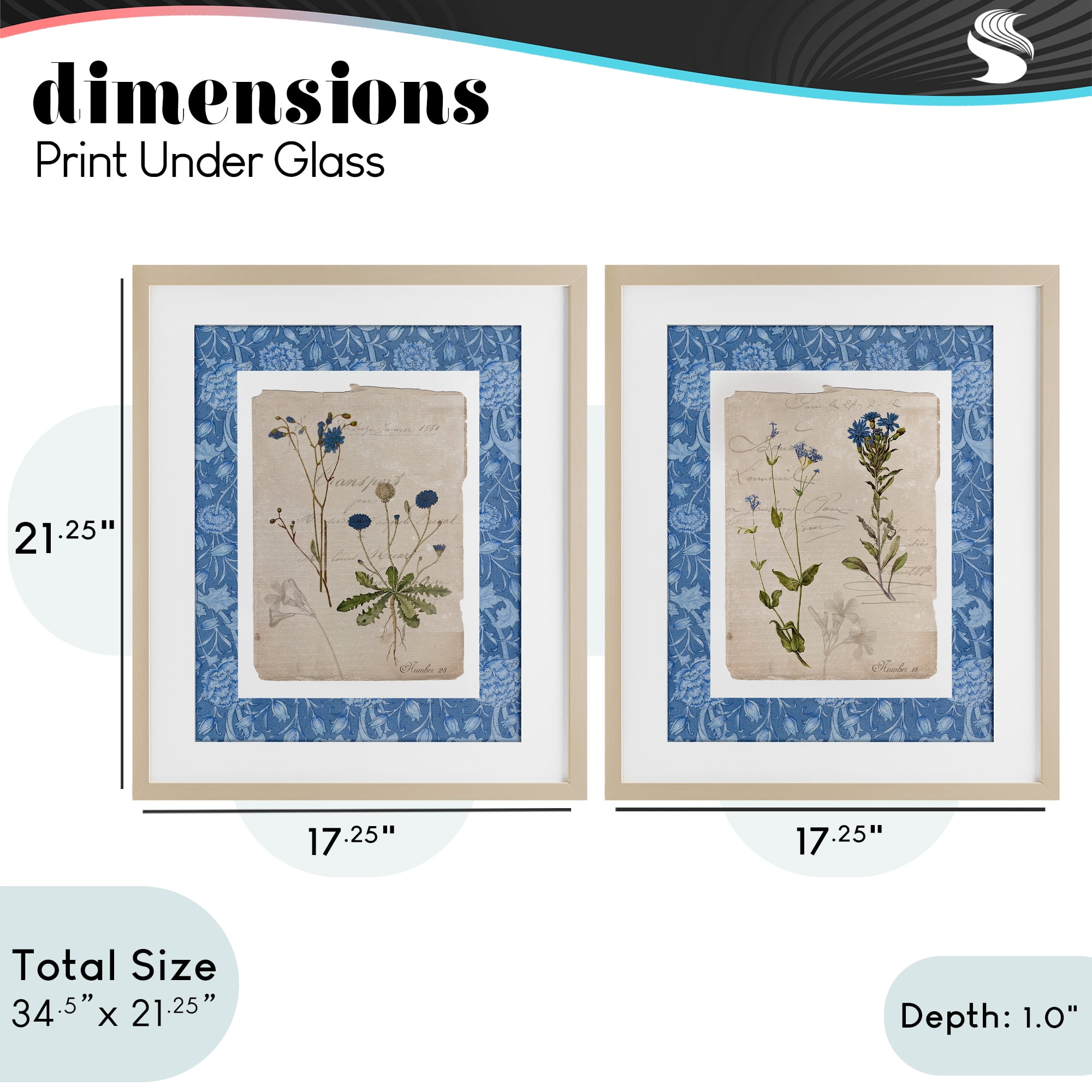 Stupell Industries Blue Botanical Herbs 2 Piece Birch Framed Print Under Glass Set, design by Livi Finn