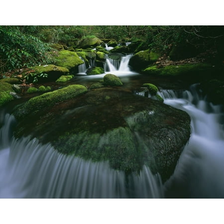 Tennessee United States Of America Moss And Curved Cascade In The Roaring Fork River In Great Smoky Mountains National Park Canvas Art - Natural Selection Robert Cable  Design Pics (17 x