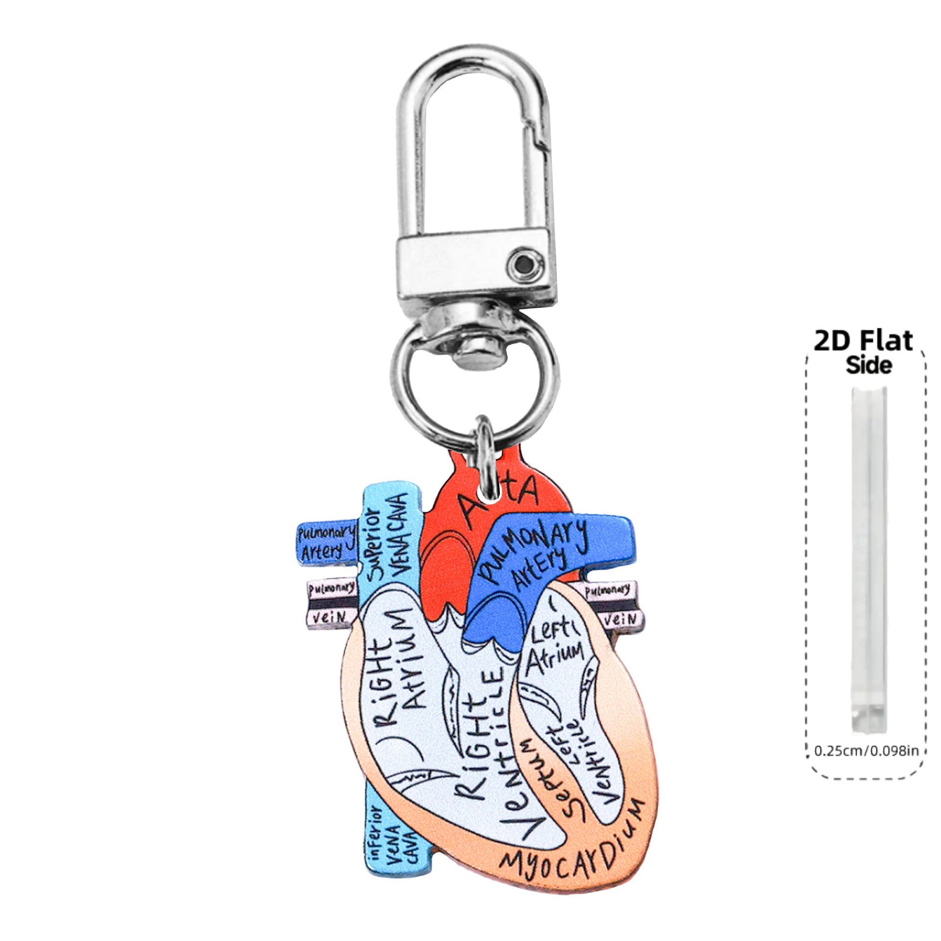 Nurse Theme Letter Anatomical Heart Diagram Keychain Doctors Prefer Key Ring