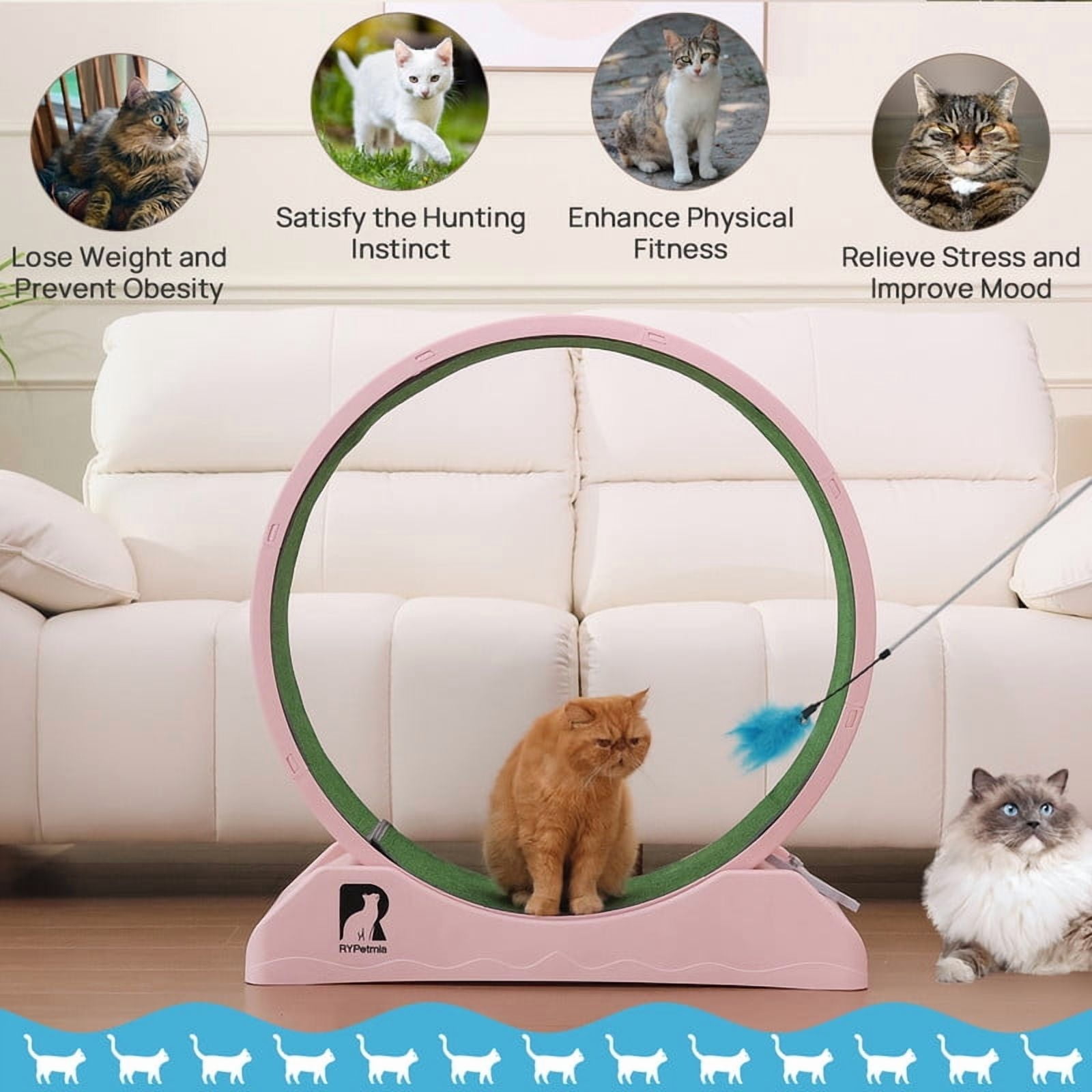 Cat Exerciser Wheel, 31.5 Inch Cat Toy Running Wheel Treadmill with Detachable Carpet for Indoor Cats, Plastic Wheel