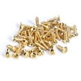 thumbnail image 2 of 50 Pcs Vis de Protection pour Guitare Basse pour Guitares ST TL SG LP Doré, 2 of 3