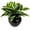 Green, variant on 4Pcs 17.7inch Artificial Halcyon Hosta Perennial Plants Faux Green Dieffenbachia Plant Greenery Aesthetic House Plants Outdoor Shrubs Indoor Office Yard UV Resistant Planter Filler
