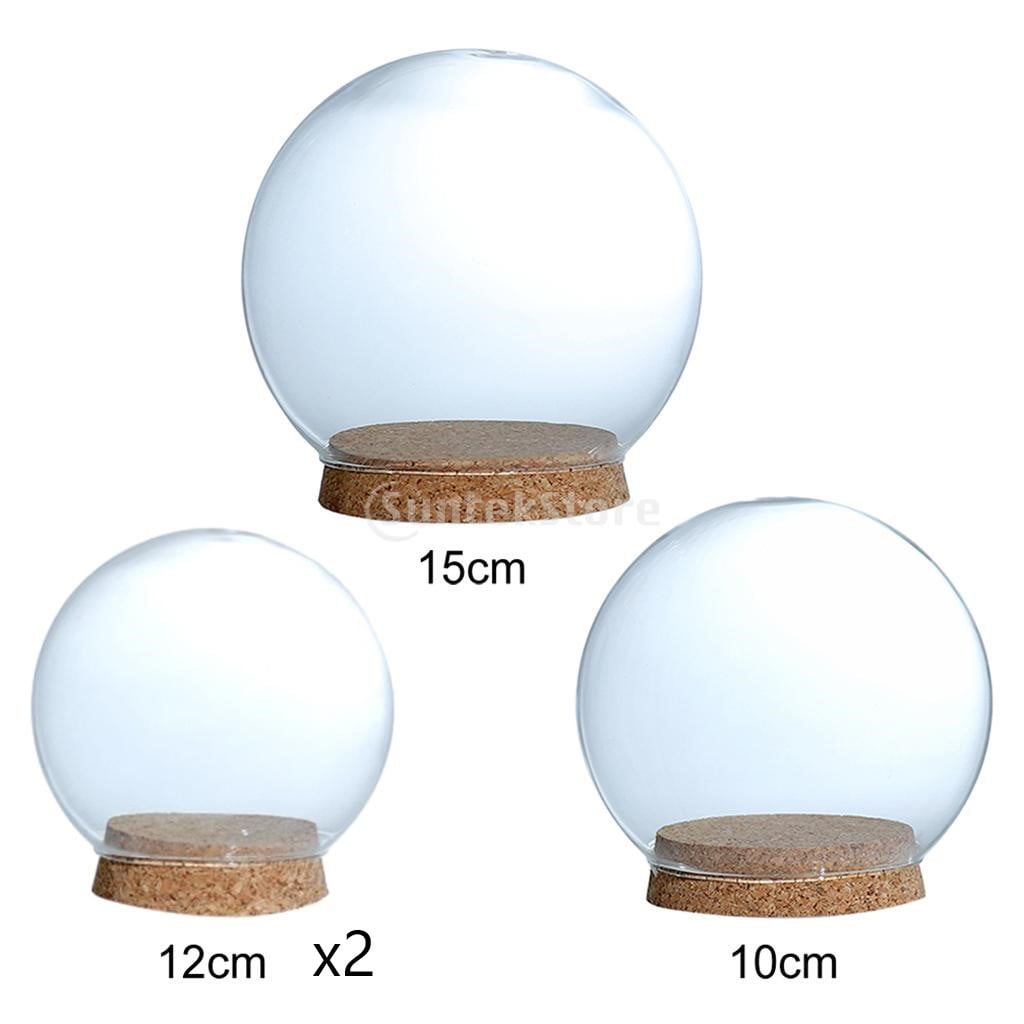 12/15cm Glass Cover Flower Display Cloche Bell Jar Dome Decor With Wooden Base 