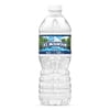 Ice Mountain Spring Water, 16.9 Fl Oz, Single Plastic Bottle