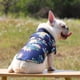 thumbnail image 2 of Xiao Hua Camiseta para perro y gato, camisetas transpirables para mascotas, sudadera para cachorro, ropa para perro, abrigos para perros pequeños, medianos y gatos, 4XL, A01, 2 of 4