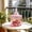 C, variant on Vintage Ribbed Glass Jars with Lids, Wenini 12.5cm Tall Food-Safe Glass Storage Containers, Decorative Candy Trinket Jars for Kitchen Bedroom Party Centerpiece