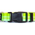 thumbnail image 2 of The Rock Solid Collar ID (Slate Green, Small), 2 of 2
