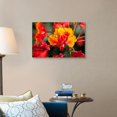thumbnail image 4 of Great Big Canvas "Close Up Of Mexican Bird Of Paradise"  by Michael Interisano Red Black   Wrapped Canvas Print Wall Artwork, 4 of 7