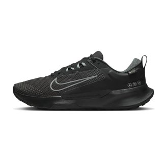 Nike Pegasus Trail 5 Gore-TEX Men display picture 1