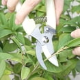 thumbnail image 3 of Garden Shears - Premium Pruning Scissors for Flowers, Bushes, Roses, and Fruit Trees. Ideal for Florists, Yards, and Orchards., 3 of 4