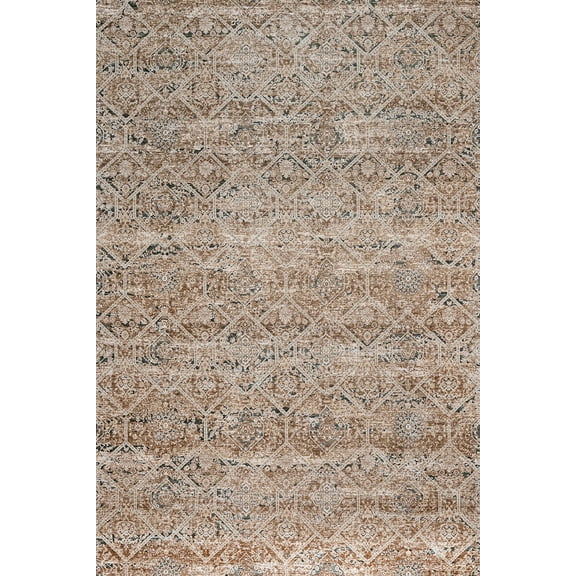 Brown Abstract Area Rugs for Living Room Washable Rugs Boho Moroccan Area Rug Soft Neutral Geometric Bohemian Carpet Distressed Indoor Rug for Bedroom Dining Room Office Foldable Nonslip Rug