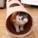 thumbnail image 2 of Collapsible Cat Tunnel,Durable Suede Pet Toys Play Tunnel with Ball and Hole,for Cats,Rabbits,Kittens,Puppy and Small Pets (Beige 47x10inch), 2 of 5