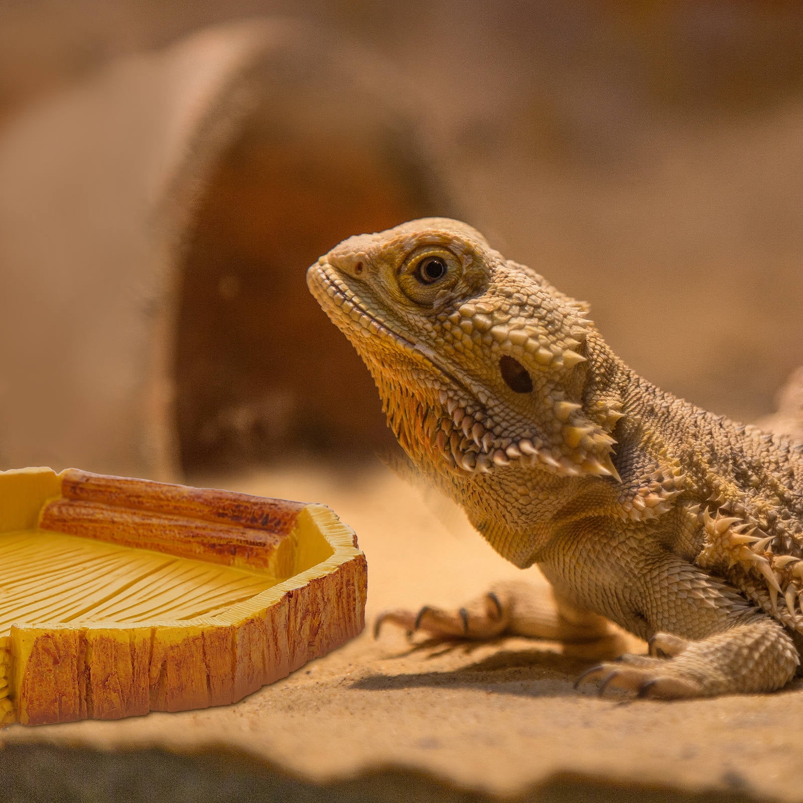 NICERIO Reptile Water Feeder Yellow Resin Habitat Accessory Suitable for Crawling Pets