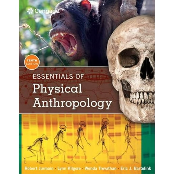 Pre-Owned Essentials of Physical Anthropology (Paperback) 9781305633810