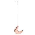 thumbnail image 5 of LOLIPPYY Rose Moon Disco Hanging Ornament with Glass Mirror for Party, Room, and Home Decoration, 5 of 8