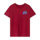 thumbnail image 1 of Camiseta básica para mujer, camiseta de recuerdo con cuello redondo para ir de compras, trabajo en la calle SG, 1 of 7