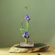 thumbnail image 4 of Soporte para flores, aguja de cobre densa, accesorios prácticos para arreglos florales Kenzan elegante y moderno, 4 of 9