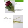 thumbnail image 3 of Xiao Hua Ramo de rosas artificiales de terciopelo de seda de 10 piezas con tallo largo, ideal para decoración de bodas, jardines y casas (rosa), 3 of 5